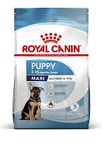 Сухой корм Royal Canin Maxi Puppy для щенков крупных пород от 2 до 15 месяцев 15 кг