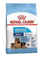 Сухой корм Royal Canin Maxi Starter для щенков крупных пород до 2-месячного возраста 4 кг