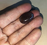 Агат моховий натуральний 20,5 каратів, фото 4