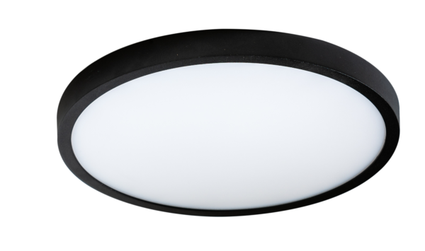 Світильник стельовий AZzardo AZ4243 Malta R30, фото 1