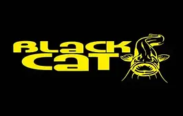 Black Cat