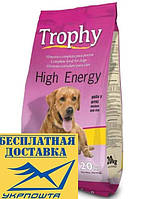 Корм для активных собак Трофи 20кг енерджи премиум Испания баваро