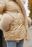 Жіноча стильна зимова куртка К-160 лак, фото 2