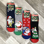 Новорічні шкарпетки жіночі махрові бавовна Слід Лева, розмір 36-39, асорті, 223020, фото 3