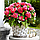 Бегонія махрова Камелия 6+, фото 2