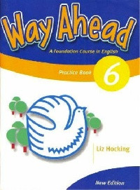 New Way Ahead 6 Grammar Practice Book (граматика, практика рівень 6)