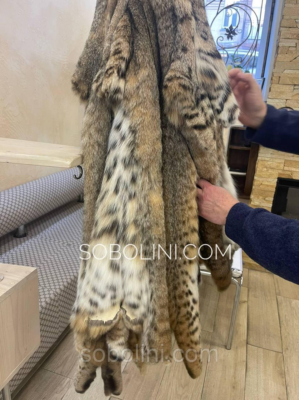 Хутро рисі, фото 1