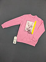 Свитшот (джемпер) детский для девочки Габби DG-19-37-1 110см розовый 11852