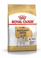 Royal Canin Jack-Russell Terrier Adult 1,5 кг - корм для собак породи джек-рассел-тер'єр з 10 місяців