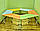 Стіл мобільний модульний для початкової школи НУШ ТРАПЕЦІЯ регульований за висотою 1180х510 2-4 р. гр., фото 2