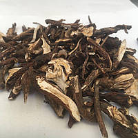 Кульбаба лікарська (коріня) Карпати 50 г, 7442870 439