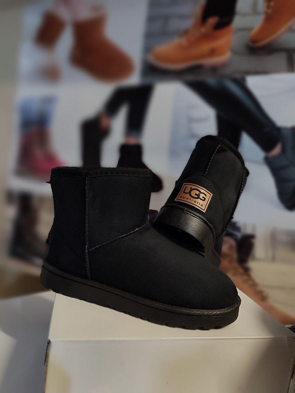 Уггі UGG australia короткі 16 см - висота чорні екологічна замша Жіночі уггі