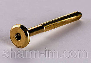 Гвинт меблевий із плоскою головкою під шестигранний ключ М6х25 мм Жовтий, фото 4