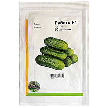 Насіння огірка самозапильного, ультрараннього "Рубато" F1 (50 насінин) від Rijk Zwaan, Голландія