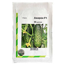 Насіння огірка самозапильного, для теплиць і відкритого ґрунту "Амарок" F1 (50 насінин) від Bejo, Голландія