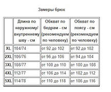Штани чоловічі зимові спортивні з 2 смугами Штани Ao Longcom — зима (Чорний колір), фото 5