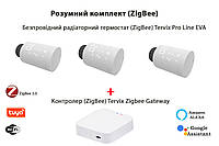 2287313 Комплект Tervix Pro Line EVA2 (3 шт.) + контроллер Tervix ZigBee Gateway