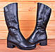 Чоботи жіночі зимові на дуже повну ногу великого розміру 42,Чоботи жіночі зимові на дуже повну ногу, фото 2