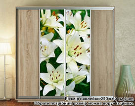 Наклейка на шафу-купе 220 х 102 см на 2 двері Білі лілії (БП_а_fl12841), фото 3