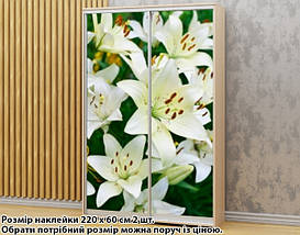 Наклейка на шафу-купе 220 х 102 см на 2 двері Білі лілії (БП_а_fl12841), фото 4