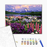 Картина за номерами Долина польових квітів Картини в цифрах Квіти Пейзаж 40х50 розмальовка Brushme BS21019, фото 2