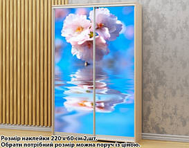 Наклейка на шафу-купе 220 х 74 см на 2 двері квітуча вишня (БП_а_fl13038), фото 3