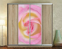 Наклейка на шкаф-купе 220 х 60 см на 2 двери розовая роза (БП_а_fl13158)