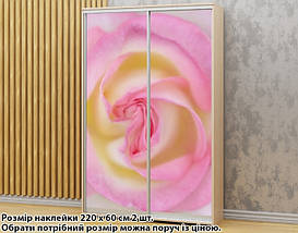 Наклейка на шафу-купе 220 х 60 см на 2 двері рожева троянда (БП_а_fl13158), фото 2