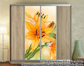 Наклейка на шафу-купе 220 х 102 см на 2 двері лілії (БП_а_fl11875), фото 5