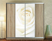 Наклейка на шкаф-купе 220 х 60 см на 2 двери белая роза (БП_а_fl13392)