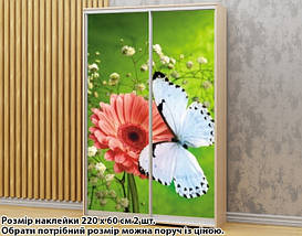 Наклейка на шафу-купе 220 х 74 см на 2 двері метелик (БП_а_fl11895), фото 3