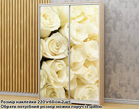 Наклейка на шафу-купе 220 х 102 см на 2 двері троянди (БП_а_fl11900), фото 3