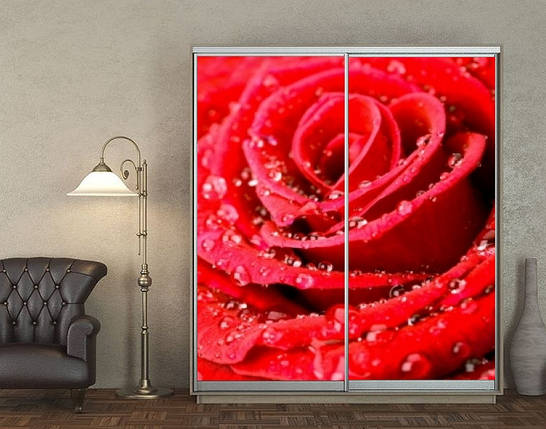 Наклейка на шафу-купе 220 х 102 см на 2 двері  Червона троянда (БП_а_fl13417), фото 1
