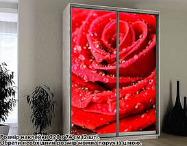 Наклейка на шафу-купе 220 х 102 см на 2 двері  Червона троянда (БП_а_fl13417), фото 2