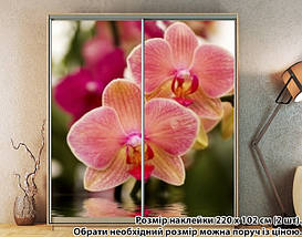 Наклейка на шафу-купе 220 х 60 см на 2 двері Орхідеї (БП_а_fl13546), фото 5
