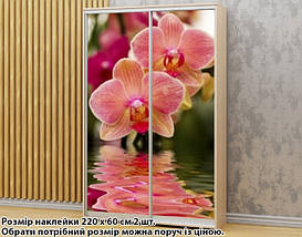 Наклейка на шафу-купе 220 х 60 см на 2 двері Орхідеї (БП_а_fl13546), фото 6