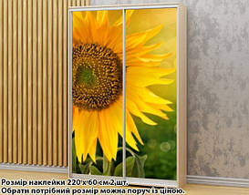Наклейка на шафу-купе 220 х 74 см на 2 двері соняшник (БП_а_fl11958), фото 2