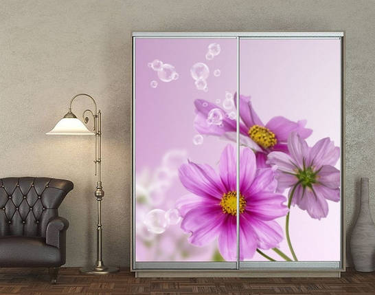 Наклейка на шафу-купе 220 х 102 см на 2 двері квіти (БП_а_fl12032), фото 1