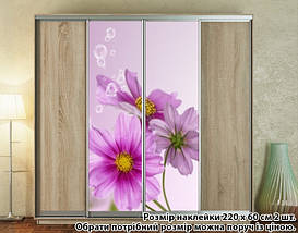 Наклейка на шафу-купе 220 х 102 см на 2 двері квіти (БП_а_fl12032), фото 3