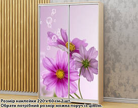 Наклейка на шафу-купе 220 х 102 см на 2 двері квіти (БП_а_fl12032), фото 4