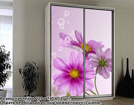 Наклейка на шафу-купе 220 х 102 см на 2 двері квіти (БП_а_fl12032), фото 5