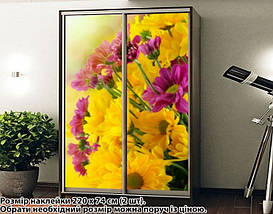 Наклейка на шафу-купе 220 х 60 см на 2 двері Хризантеми (БП_а_fl12041), фото 2