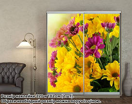 Наклейка на шафу-купе 220 х 60 см на 2 двері Хризантеми (БП_а_fl12041), фото 3