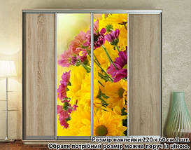 Наклейка на шафу-купе 220 х 60 см на 2 двері Хризантеми (БП_а_fl12041), фото 5
