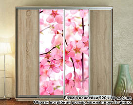 Наклейка на шафу-купе 220 х 102 см на 2 двері Квіти вишні (БП_а_fl13657), фото 6