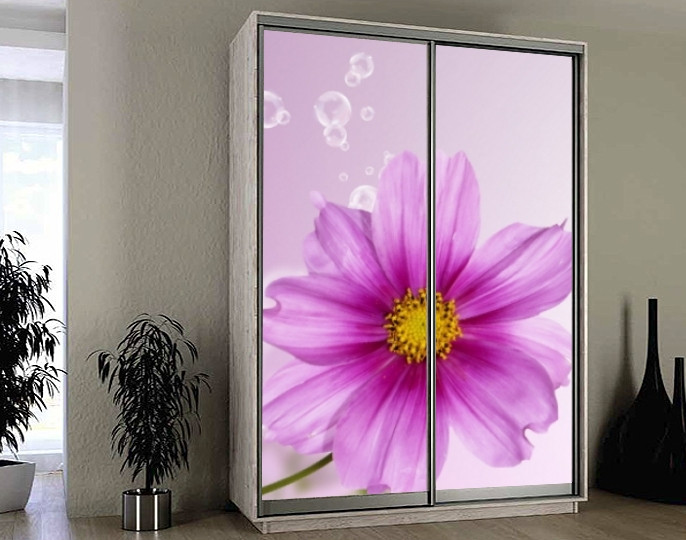 Наклейка на шафу-купе 220 х 74 см на 2 двері  квітка (БП_а_fl12043)