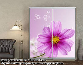 Наклейка на шафу-купе 220 х 74 см на 2 двері  квітка (БП_а_fl12043), фото 2