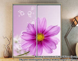 Наклейка на шафу-купе 220 х 74 см на 2 двері  квітка (БП_а_fl12043), фото 3