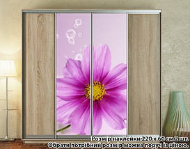Наклейка на шафу-купе 220 х 74 см на 2 двері  квітка (БП_а_fl12043), фото 4