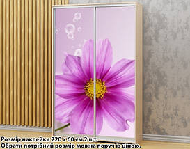 Наклейка на шафу-купе 220 х 74 см на 2 двері  квітка (БП_а_fl12043), фото 5
